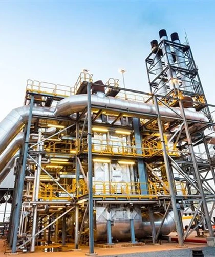  Case Study - Issues Management