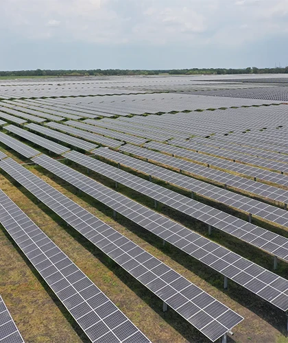 Utility-Scale Solar Project